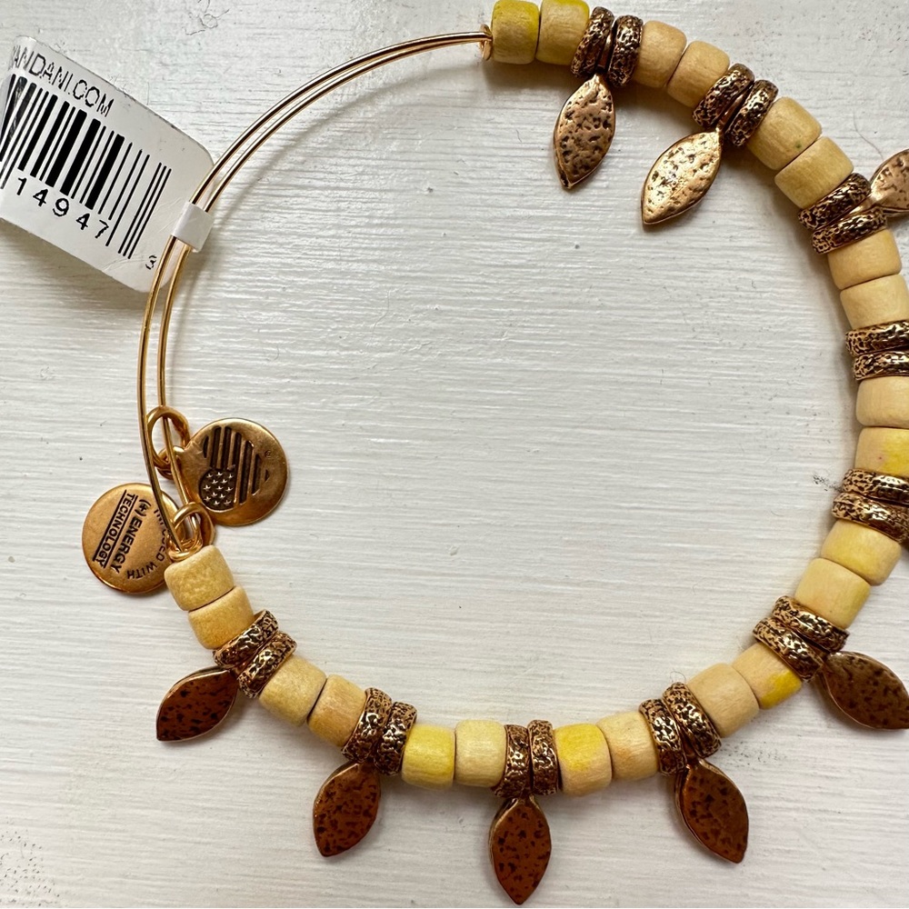 NWT - Alex and Ani bracelet